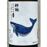 酔鯨 特別純米 しぼりたて生酒 720ml