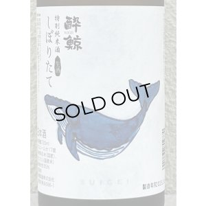 画像1: 酔鯨 特別純米 しぼりたて生酒 720ml