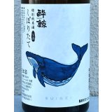 酔鯨 特別純米 しぼりたて生酒 720ml