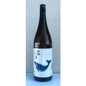 画像2: 酔鯨 特別純米 しぼりたて生酒 1.8L