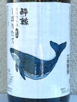 酔鯨 特別純米 しぼりたて生酒 1.8L