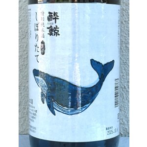 画像1: 酔鯨 特別純米 しぼりたて生酒 1.8L