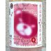 画像1: シン・タカチヨQ あるひピンクのクマさんがBABY 720ml  (1)
