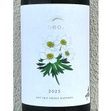 Tedorigawa neo. 2025 1.8L