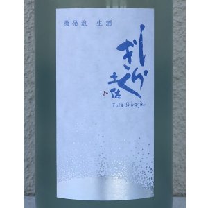 画像1: 土佐しらぎく 微発泡酒 純米吟醸生 1.8L