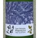 画像1: Tosa Shiragiku Premium 生 1.8L (1)