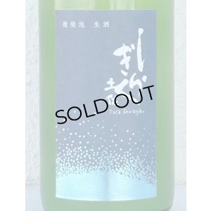 画像1: 土佐しらぎく 特別純米 微発泡生 720ml