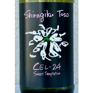 画像1: Shiragiku Tosa CEL-24 720ml