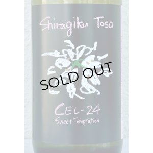 画像1: Shiragiku Tosa CEL-24 720ml