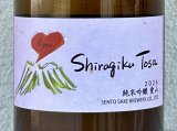 Shiragiku Tosa 純米吟醸 愛山 720ml