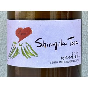 画像1: Shiragiku Tosa 純米吟醸 愛山 720ml