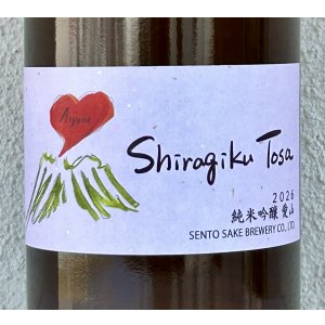 画像1: Shiragiku Tosa 純米吟醸 愛山 1.8L