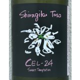 Shiragiku Tosa CEL-24 1.8L