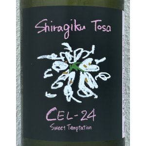 画像1: Shiragiku Tosa CEL-24 1.8L