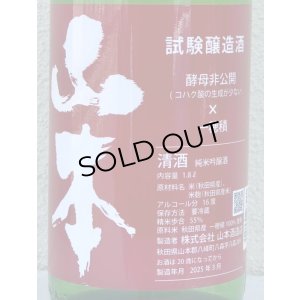 画像1: 山本 試験醸造 生原酒 1.8L