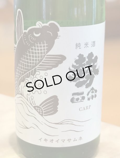 画像2: 勢正宗 carp 純米 無濾過生原酒　1.8L (2)