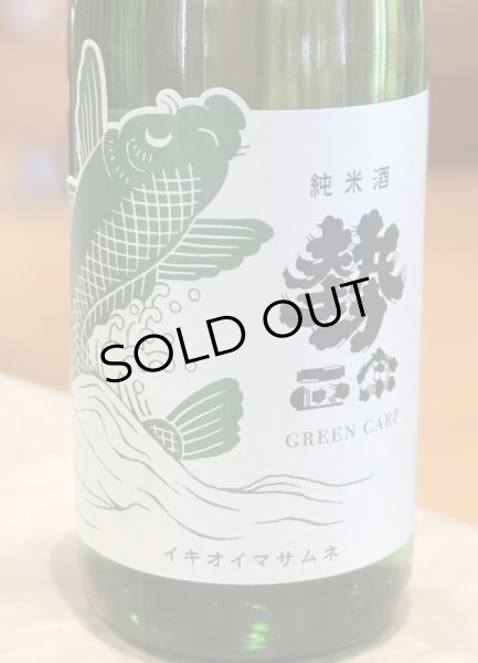 画像2: 勢正宗 Green carp 純米 無濾過生原酒　1.8L (2)