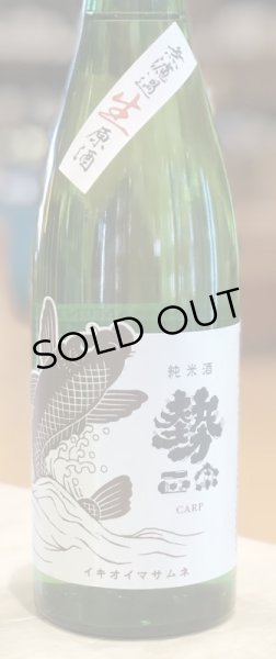 画像2: 勢正宗 carp 純米 無濾過生原酒　720ml (2)