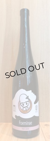 画像2: ファビュラス フォエミネ ピノグリージョ （オレンジ） 750ml (2)