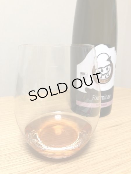 画像3: ファビュラス フォエミネ ピノグリージョ （オレンジ） 750ml (3)