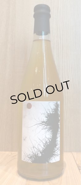 画像2: マリア・ボルトロッティ ファレスタ・ピニョレット 白・超微発泡 750ml (2)