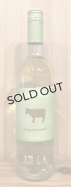 画像2: マインクラング ブルゲンラントヴァイス 2019 白 750ml (2)