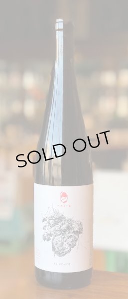 画像2: ヴァイングート・ヴェルナー　マルト・アル・デンテ　2019 赤 750ml (2)