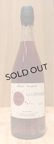 画像2: レ・カプリアード ラ・ビュル・ルージュ 2018 赤泡 中甘口 750ml  (2)