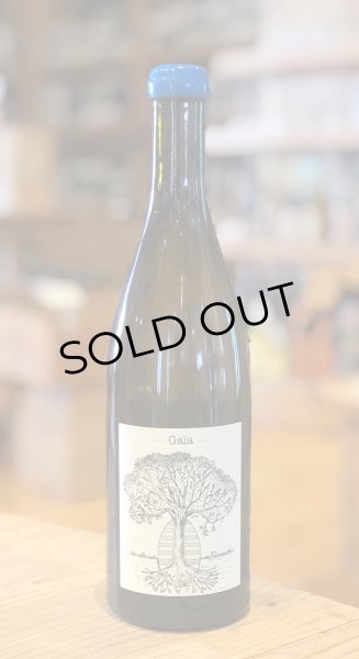 画像2: ドメーヌ・ド・ベル・ヴュー　ミュスカデ　ガイア　白 2019 750ml (2)