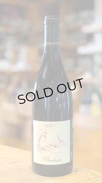 画像2: アドリアン・ダカン　モンドゥーズ　2020 赤 750ml (2)