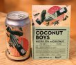 画像1: 奈良醸造ビール  COCONUT BOYS（ココナッツボーイ）缶 350ml (1)