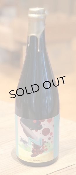 画像2: 奈良醸造ビール EMERALD CITY(エメラルド シティ)750ml (2)