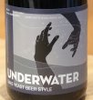 画像1: 奈良醸造×風の森 UNDERWATER 375ml (1)