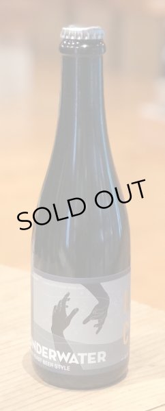 画像2: 奈良醸造×風の森 UNDERWATER 375ml (2)