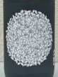 画像1: 小左衛門 Dessin リバイバル 米の芯 火入 720ml (1)