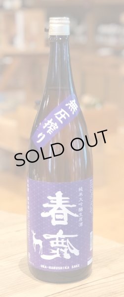 画像2: 春鹿 無圧搾り 中取り 純米大吟醸生原酒 1.8L (2)