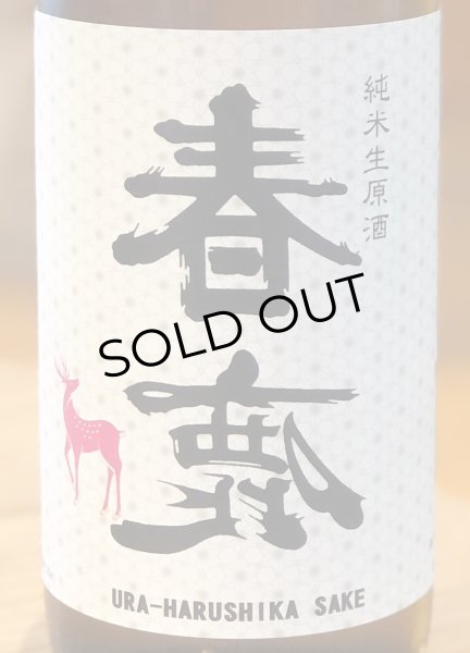 画像1: 春鹿 純米生原酒 氷温貯蔵 番外品 720ml (1)