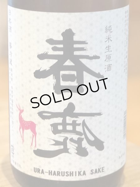 画像1: 春鹿 純米生原酒 氷温貯蔵 番外品 1.8L (1)
