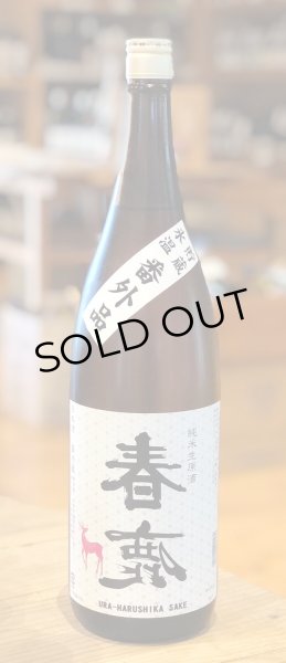 画像2: 春鹿 純米生原酒 氷温貯蔵 番外品 1.8L (2)