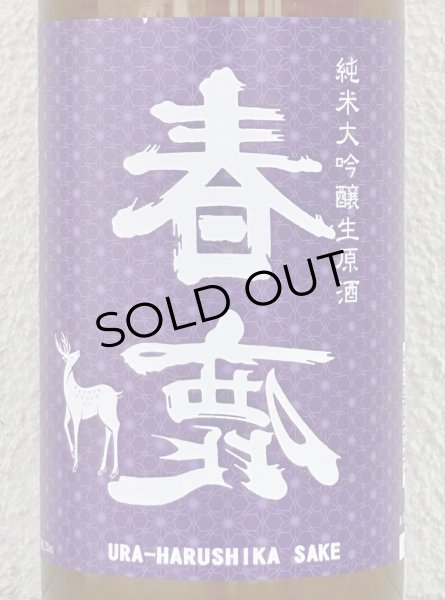 画像1: 春鹿 無圧搾り 純米大吟醸生原酒 720ml (1)