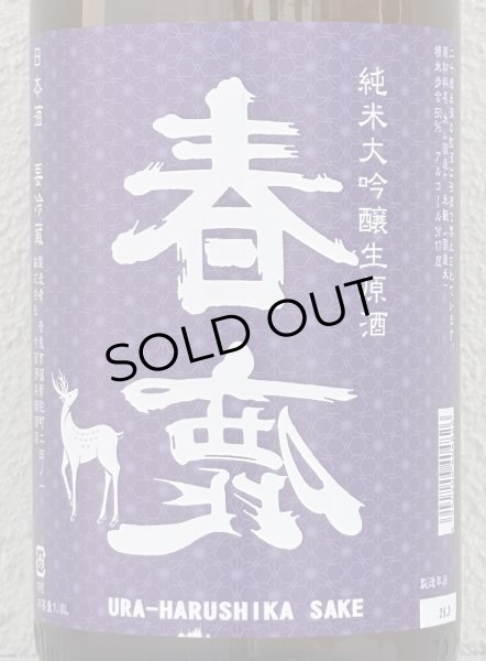 画像1: 春鹿 無圧搾り 純米大吟醸生原酒 1.8L (1)