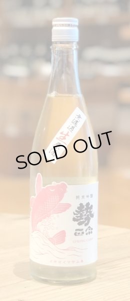 画像2: 勢正宗 Spring carp 純米吟醸 無濾過生原酒 720ml (2)