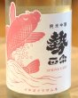 画像1: 勢正宗 Spring carp 純米吟醸 無濾過生原酒 720ml (1)