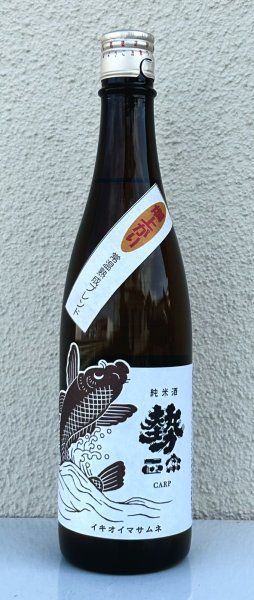 画像2: 勢正宗 carp 常温熟成ブレンド燗上がり 720ml (2)