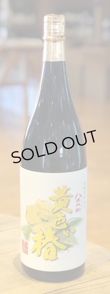 画像2: 八千代伝 黄色い椿 芋焼酎25度 1.8L (2)