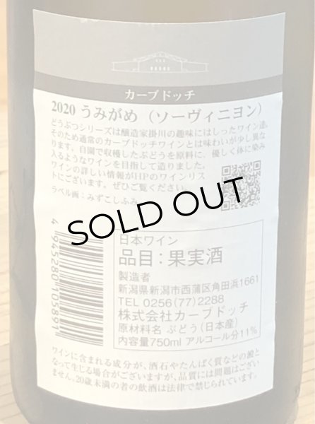 画像3: カーブドッチ うみがめ ソーヴィニヨンブラン 2020(白)750ml (3)