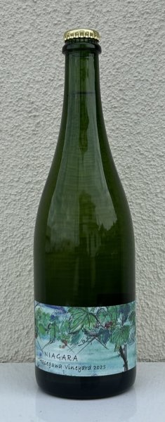 画像2: さっぽろ藤野 ナイヤガラ ハセガワヴィンヤード 2025 750ml (2)