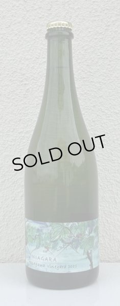 画像2: さっぽろ藤野 ナイヤガラ ハセガワヴィンヤード 2025 750ml (2)