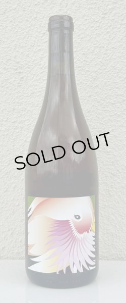 画像2: グレープリパブリック アランチョーネ 2023（オレンジ） 750ml (2)