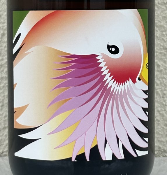 画像1: グレープリパブリック アランチョーネ 2023（オレンジ） 750ml (1)